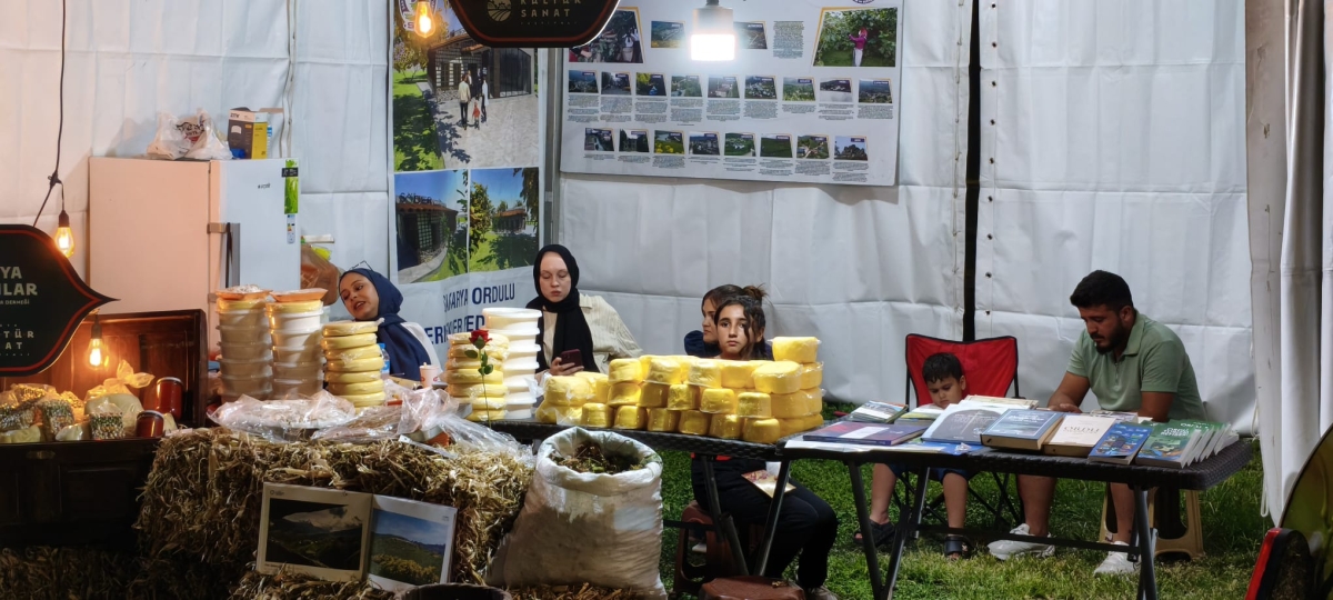 Sakarya'nın kültürel mirasını ve sanatsal zenginliğini ön plana çıkaran 2. Kültür Sanat Festivali, Sakarya Büyükşehir Belediyesi'nin ev sahipliğinde Millet Bahçesi'nde büyük bir coşkuyla başladı. 18-29 Ağustos tarihleri arası