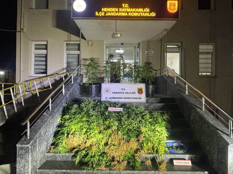 Sakarya İl Jandarma'dan Narkotik Operasyonlarına Darbe: 9 Gözaltı, 1 Tutuklama!