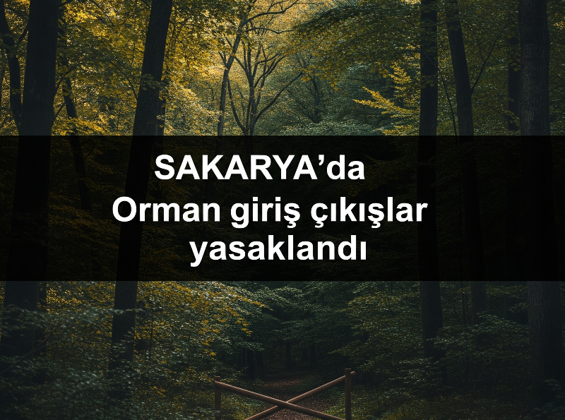Sakarya'da Ormanlara Giriş Yasaklandı: 1 Haziran - 1 Kasım Arası Geçerli!