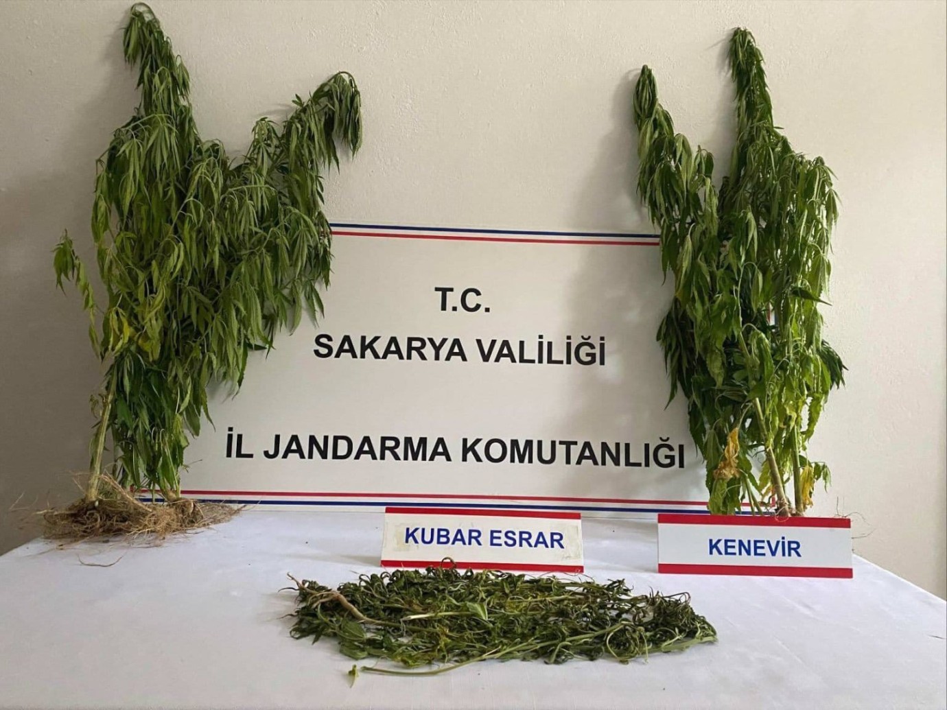 Sakarya Jandarması Uyuşturucuya Geçit Vermiyor: Üç Operasyonda Kenevir, Esrar, Kokain ve Sentetik Ecza Ele Geçirildi!