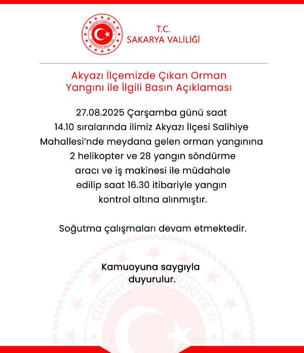 Akyazı'da Orman Yangını: Havadan ve Karadan Müdahale ile Kontrol Altına Alındı