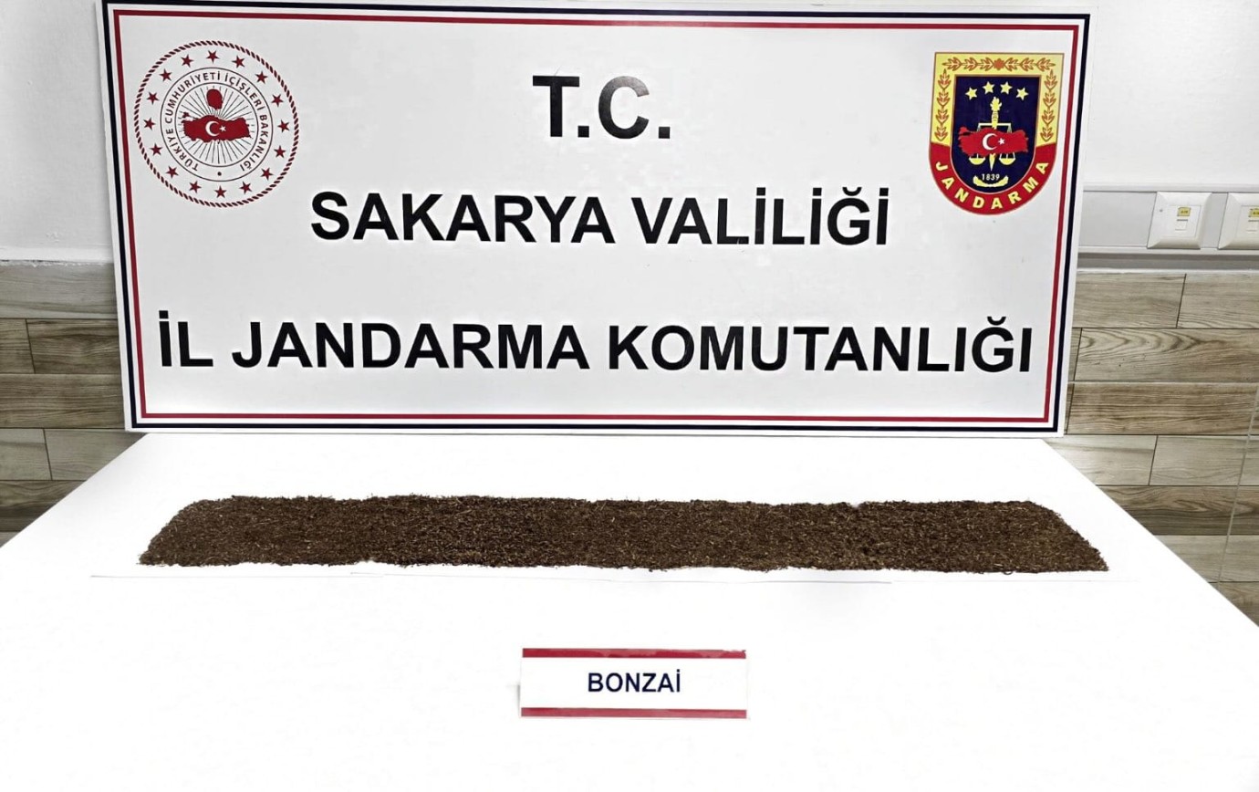 Karasu'da Jandarmadan Uyuşturucu Darbesi: Zehir Taciri Tutuklandı!