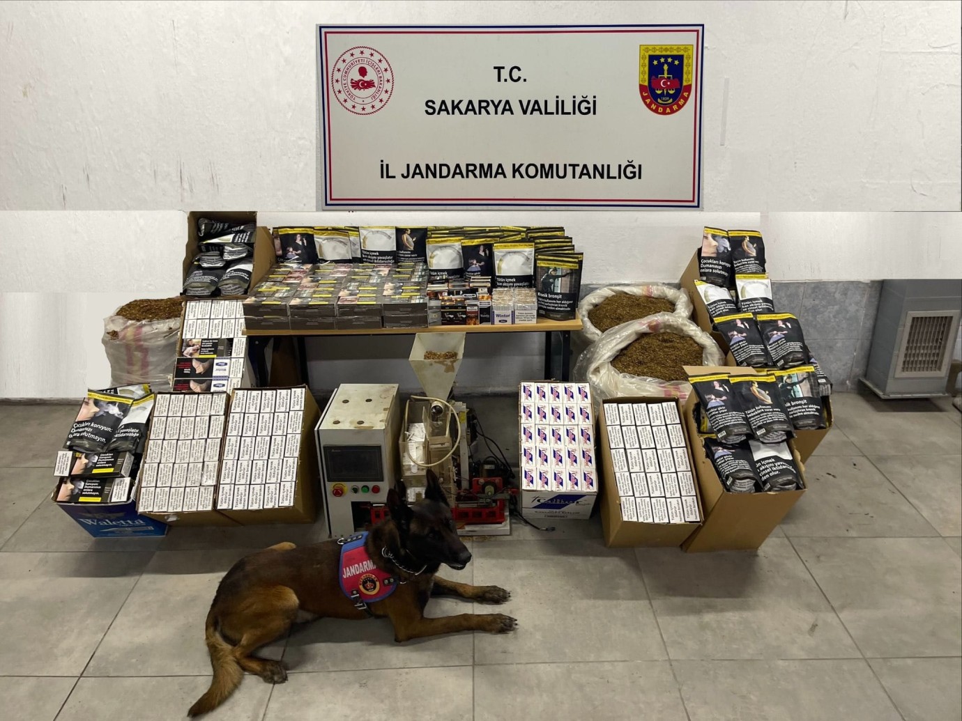 SAKARYA JANDARMASINDAN KAÇAKÇILARA DARBE: BİNLERCE MAKARON ELE GEÇİRİLDİ!