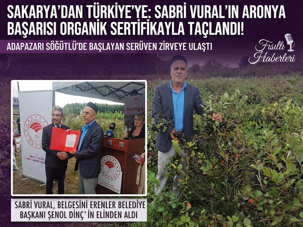 Adapazarı Söğütlü’de Başarı Hikayesi: Sabri Vural’ın Organik Aronya Üretimi Türkiye’ye Örnek Oluyor!