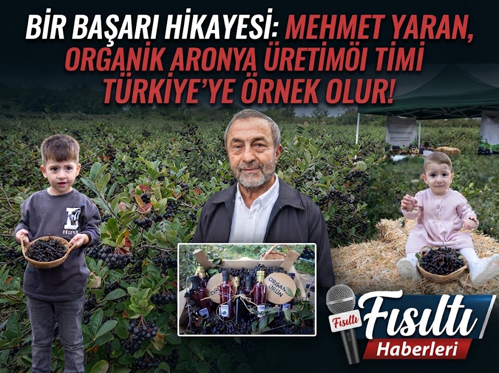 BİR BAŞARI HİKAYESİ: MEHMET YARAN’IN ORGANİK ARONYA ÜRETİMİ TÜRKİYE’YE ÖRNEK OLUYOR!