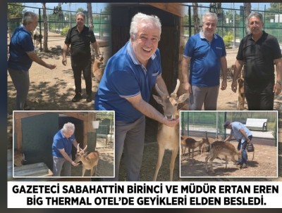 TERMALİN ZİRVESİNDE DOĞA MUCİZESİ! | Big Thermal Otel’de Geyikler Elden Besleniyor! ✨